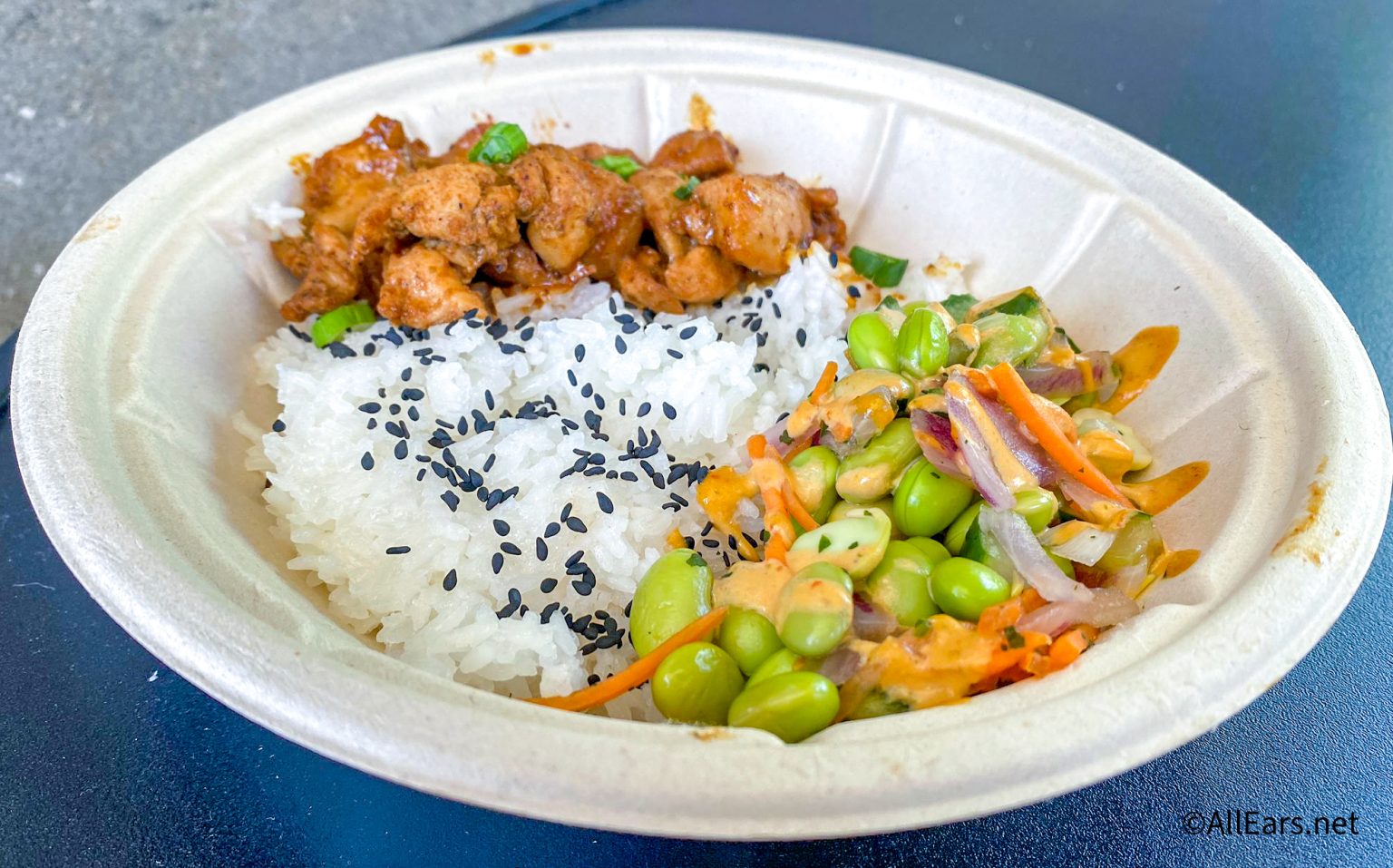 Teriyaki Chicken Bowl Disney