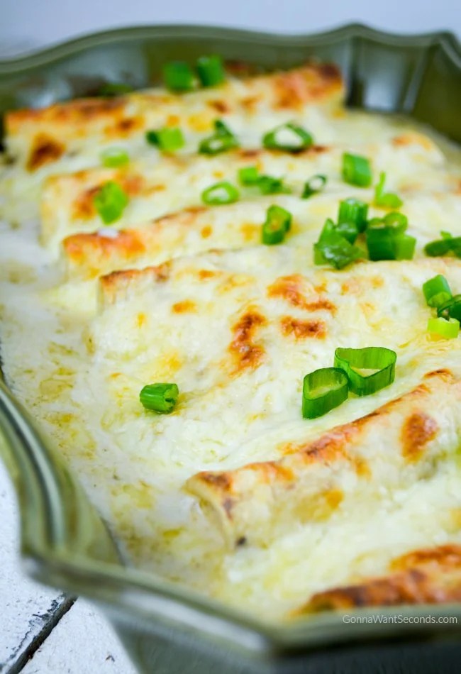 Over 31 of the BEST Enchilada Recipes - Chicken, Beef, Cheese & More!