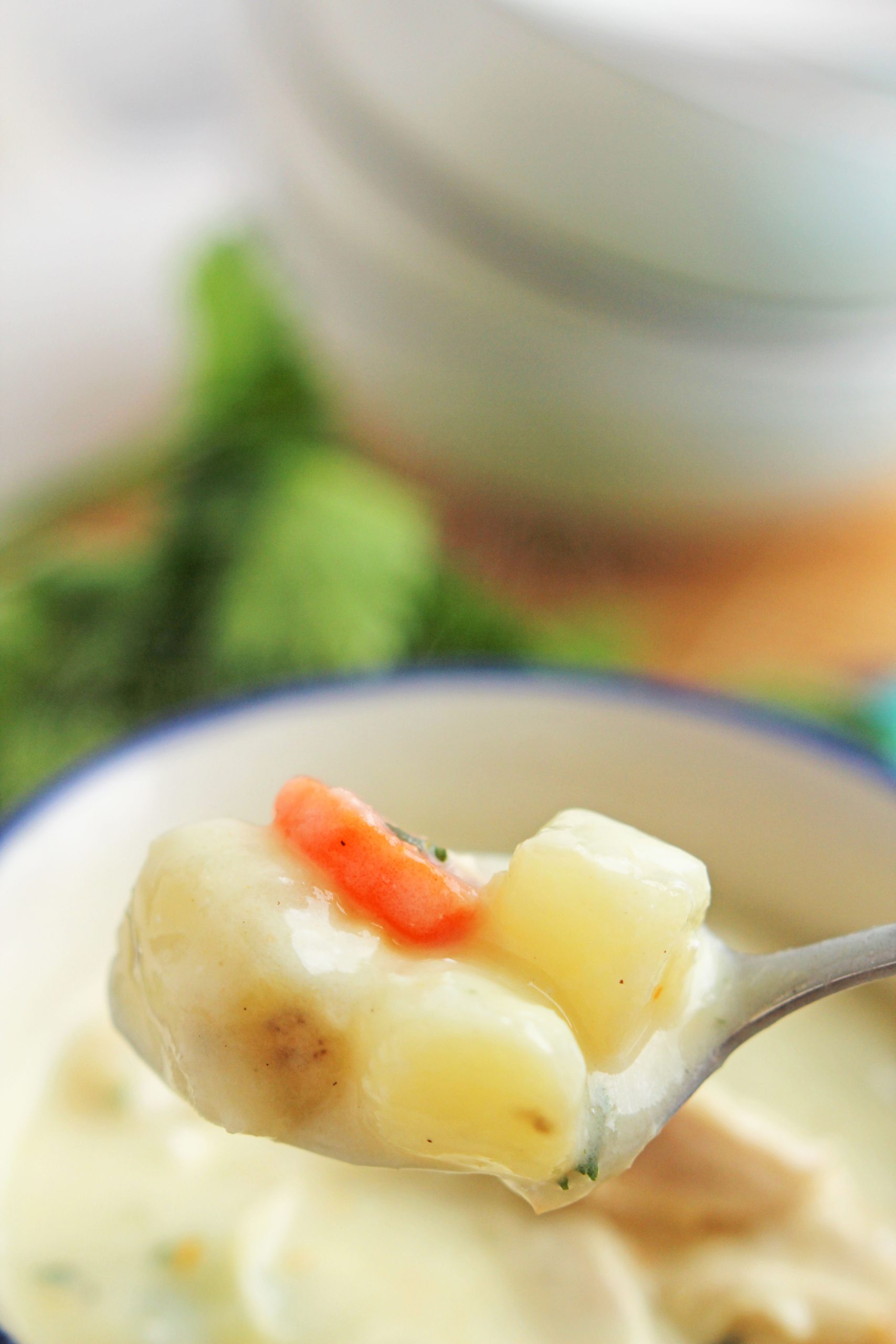 Ground Chicken Cream Cheese Soup